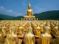 Vấn đáp tóm tắt về Đạo Phật